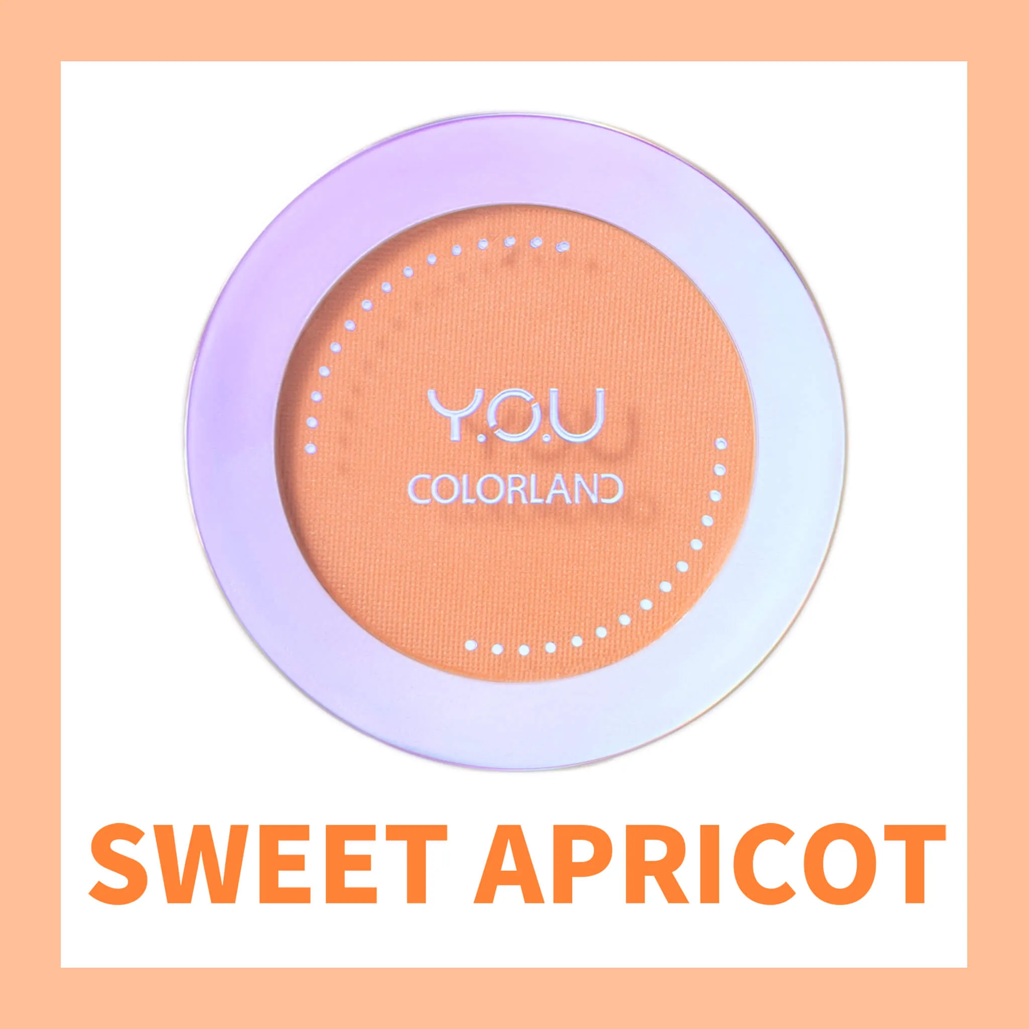 Colorland Focus On Me Blush