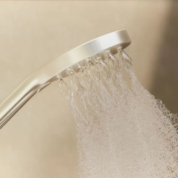 Phoenix Tapware Ormond Hand Shower Brushed Gold