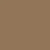 Trans Spa Brow Ink